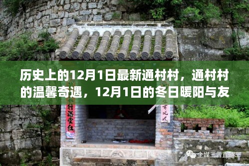 12月1日通村奇遇，冬日暖阳下的友情之约