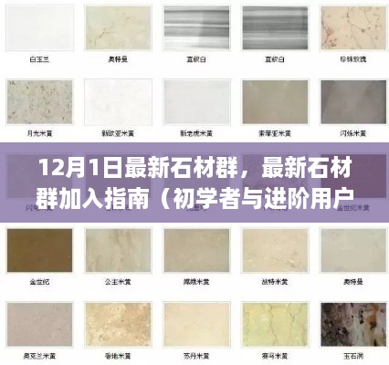 最新石材群加入指南，适合初学者与进阶用户的12月1日最新石材群资讯