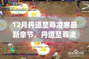 丹道至尊凌寒，学习为钥匙，开启成长与自信新篇章的最新章节