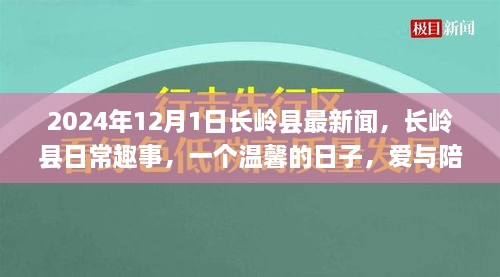 长岭县温馨日常趣事，爱与陪伴的传递（2024年12月1日新闻）