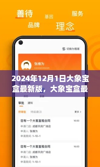 大象宝盒最新版蜕变之旅，智慧之门开启，自信成就未来之路（2024年12月1日）