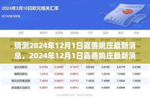 2024年12月1日嘉善姚庄最新消息预测及分析概览