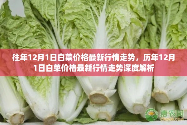 深度解析，历年与最新行情走势下的白菜价格深度解析报告