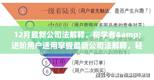 12月最新公司法解释详解步骤指南，从初学者到进阶用户的企业运营必备知识