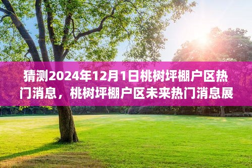 桃树坪棚户区未来展望，揭秘2024年热门消息展望与未来猜想