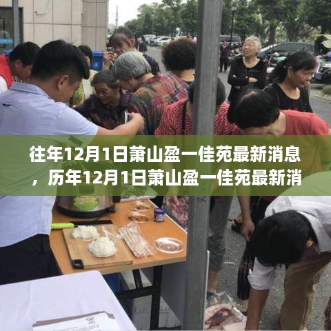 历年深度解析，萧山盈一佳苑最新消息与竞品对比体验报告