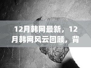 12月韩网风云回顾，背景、事件与影响一览