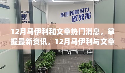 马伊利与文章热点消息全解析，入门与进阶资讯指南