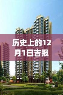 历史上的12月1日，吉报海花盛景热门动态回顾