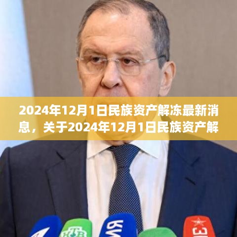 关于民族资产解冻的最新消息与涉政问题的探讨（2024年12月）