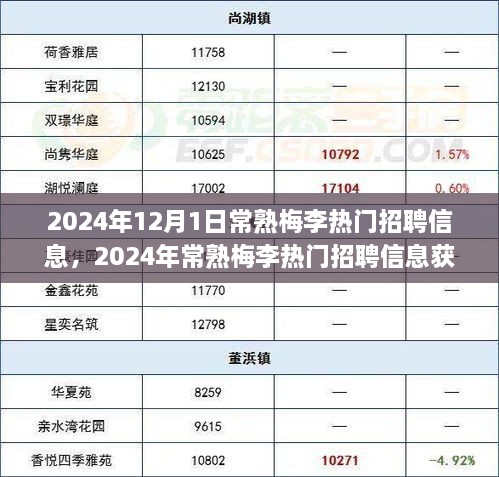 2024年常熟梅李热门招聘信息全攻略，获取与应聘指南（初学者&进阶用户适用）