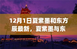 夏紫墨与东方辰12月1日最新动态焦点解析