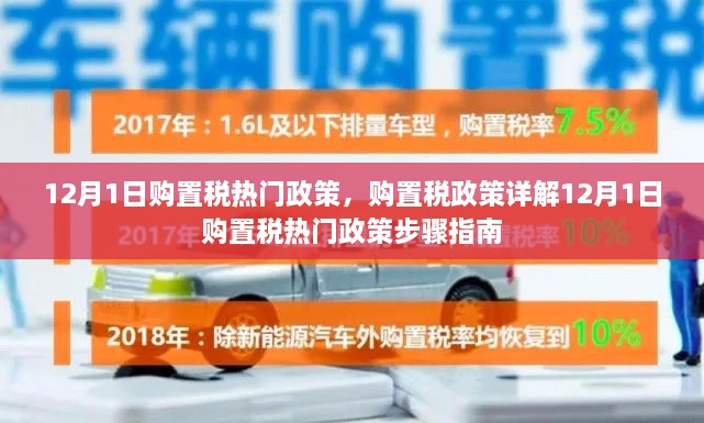 12月1日购置税热门政策详解与步骤指南