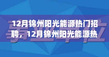 从某某视角看，12月锦州阳光能源热门招聘深度解析