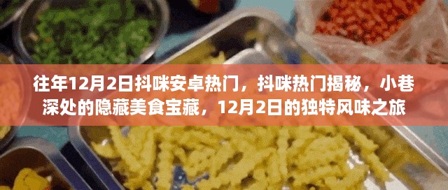 揭秘抖咪安卓热门，小巷深处的隐藏美食宝藏，12月2日独特风味之旅