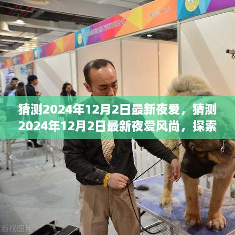 猜测2024年12月2日最新夜爱，猜测2024年12月2日最新夜爱风尚，探索未知的情感旅程