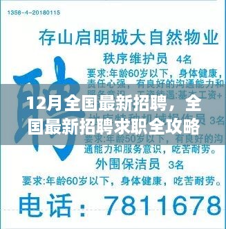 12月全国最新招聘及求职全攻略，详细步骤助你顺利求职