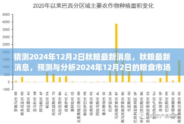 2024年秋粮最新动态预测与分析，粮食市场动态展望