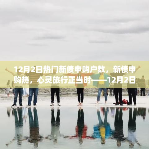 揭秘新债申购热潮背后的故事，心灵旅行正当时，探寻12月2日申购户数背后的故事。