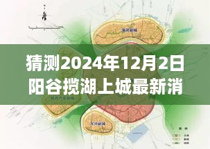 2024年12月3日 第12页