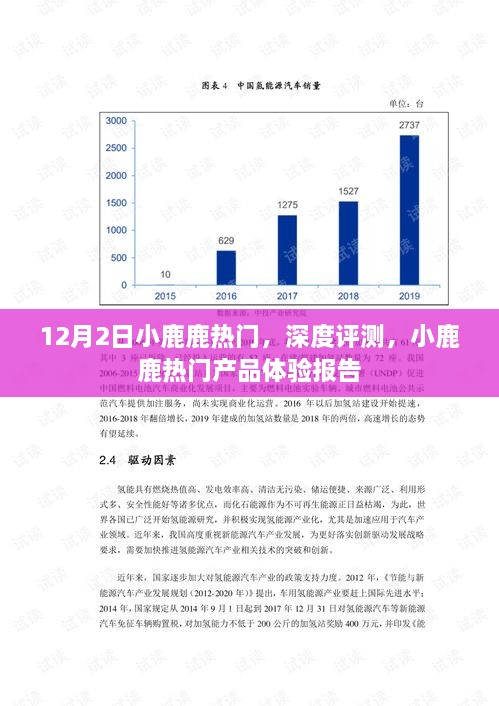 小鹿鹿热门产品深度体验报告与评测揭秘