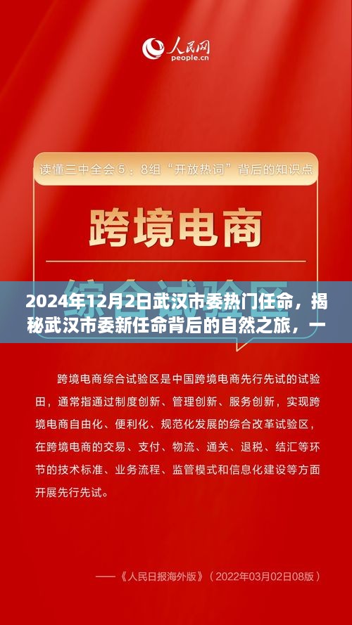 揭秘武汉市委新任命背后的自然之旅，心灵探险与职务任命的交织