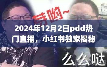 小红书独家揭秘，PDD热门直播盛宴精彩瞬间回顾 2024年12月2日直播盛况回顾