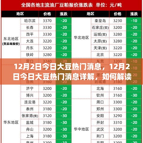 12月2日大豆市场动态详解，热门消息与动态分析