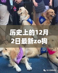 探秘隐藏版zo狗主题店，十二月二日独特美味之旅