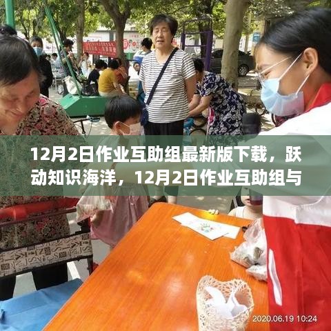 12月2日作业互助组最新版下载，共筑学习梦想之桥