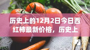 历史上的12月2日西红柿最新价格回顾，蔬果市场的时光之旅