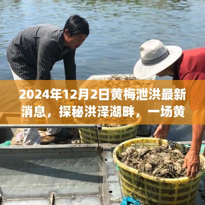 黄梅泄洪最新动态，洪泽湖畔的心灵探秘之旅（2024年12月）