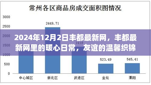 丰都最新网暖心日常，友谊织锦的温馨时光