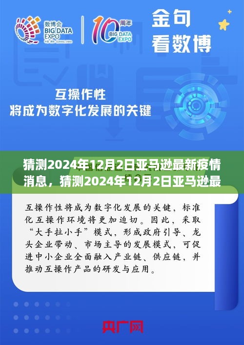 全球视野下的亚马逊抗疫进展与影响洞察，最新疫情消息预测（2024年12月2日）