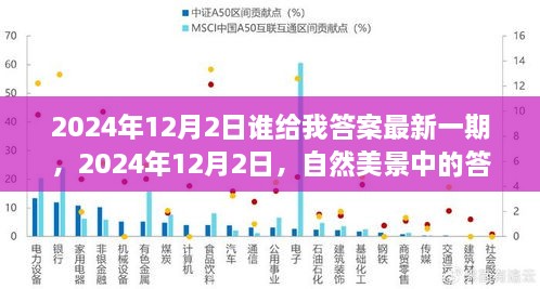 启程寻找内心的宁静，自然美景中的答案揭晓于2024年12月2日