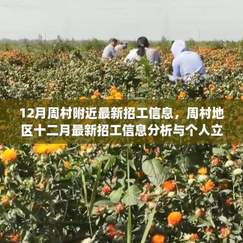 周村地区最新招工信息汇总与分析，个人立场与十二月招工动态