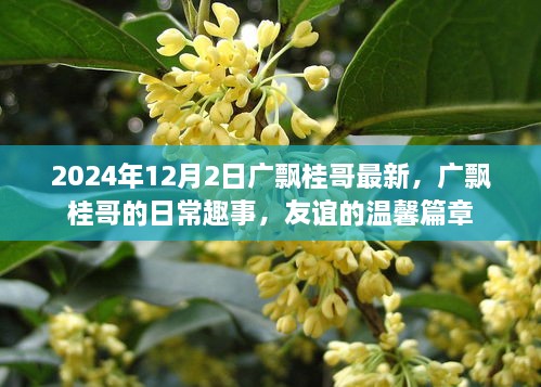 广飘桂哥的日常趣事，友谊的温馨篇章（最新更新）