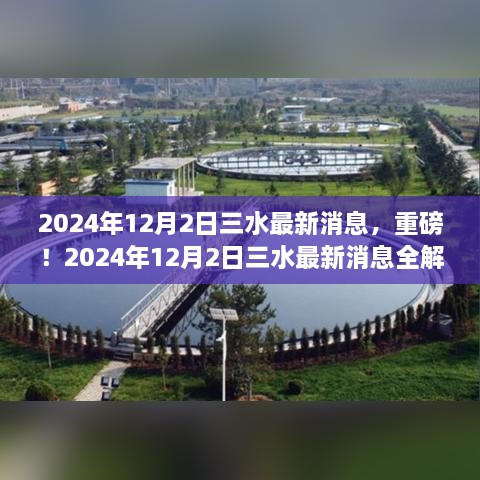 2024年12月2日三水最新消息全解析，重磅更新