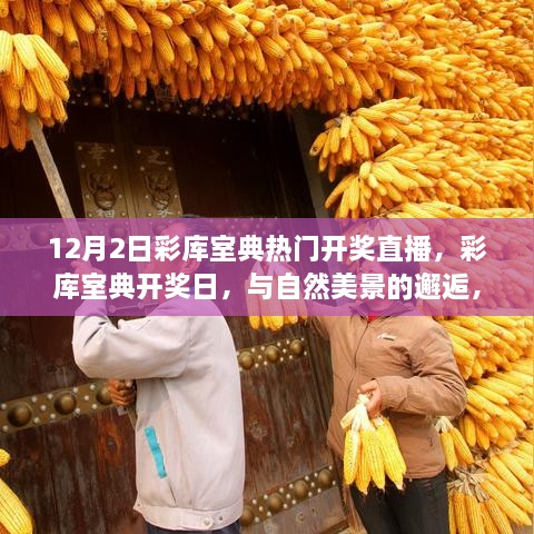 彩库室典开奖日，与自然美景的邂逅，启程寻找内心平静之旅直播开启