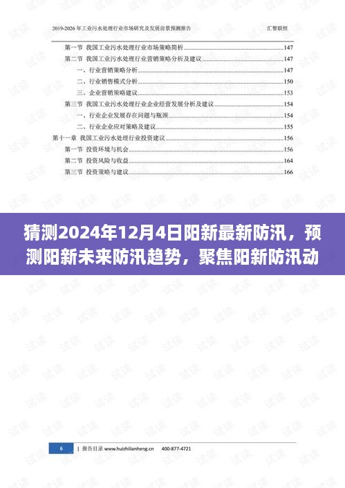 聚焦阳新防汛动态，预测未来趋势与应对策略（2024年视角）