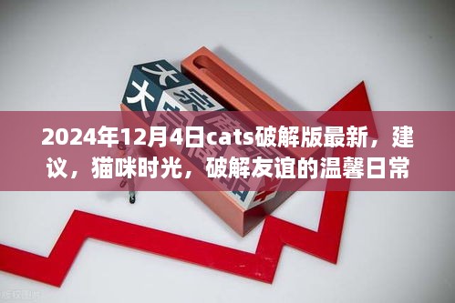 猫咪时光，破解版温馨日常与友谊建议