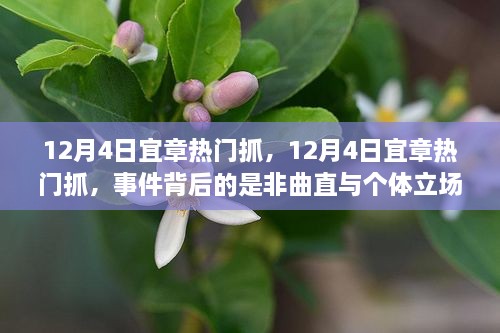 12月4日宜章热门事件背后的是非曲直与个体立场探讨