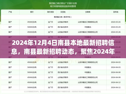 2024年12月4日南县最新招聘信息及职业机遇聚焦