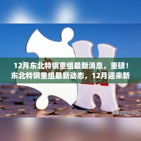 12月东北特钢重组最新消息，重磅！东北特钢重组最新动态，12月迎来新篇章，未来发展可期