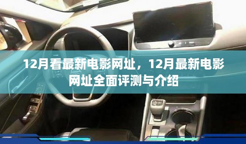 12月最新电影网址大全，全面评测与详细介绍