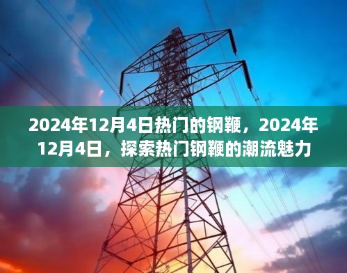 探索热门钢鞭的魅力，2024年12月4日的潮流焦点