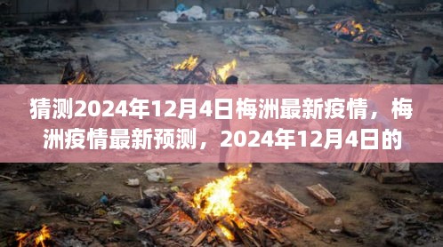 梅洲疫情预测，2024年12月4日的曙光与希望