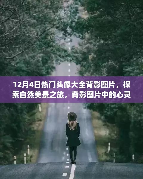 12月4日热门头像精选，自然美景之旅的启程与背影之美心灵之旅