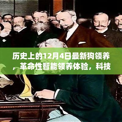 革命性智能领养体验，智能领养犬助手引领狗领养新纪元，12月4日最新领养活动开启！