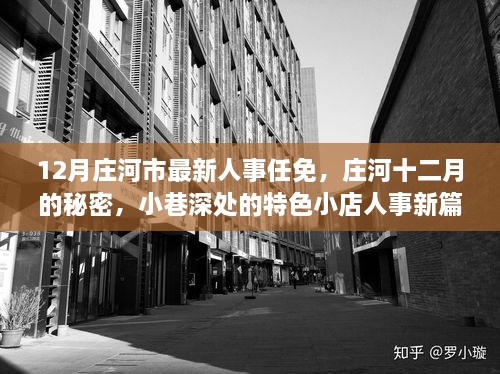 庄河市人事任免新动态，十二月小巷特色小店人事新篇章揭秘